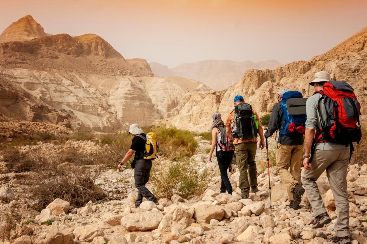 Roxon Desert * ערד